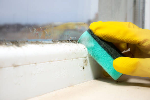 Best Mold Testing  in Luther, OK