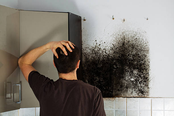 Best Certified Mold Removal  in Luther, OK