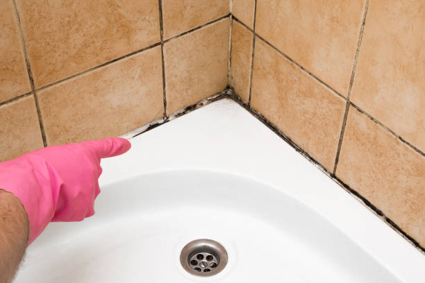 Water Damage Restoration in Luther, OK
